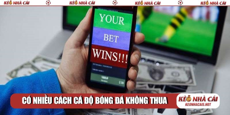 Có nhiều cách cá độ bóng đá không thua