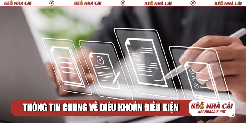 Thông tin chung về quy định điều khoản điều kiện