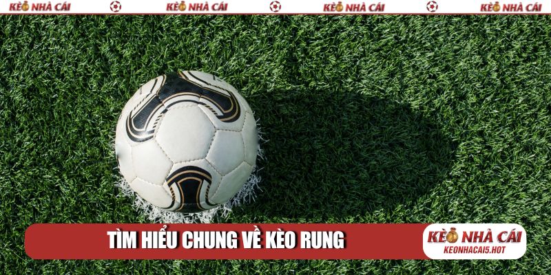 Tìm hiểu chung về kèo rung