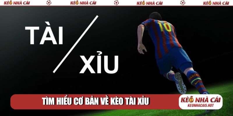 Tìm hiểu cơ bản về kèo tài xỉu
